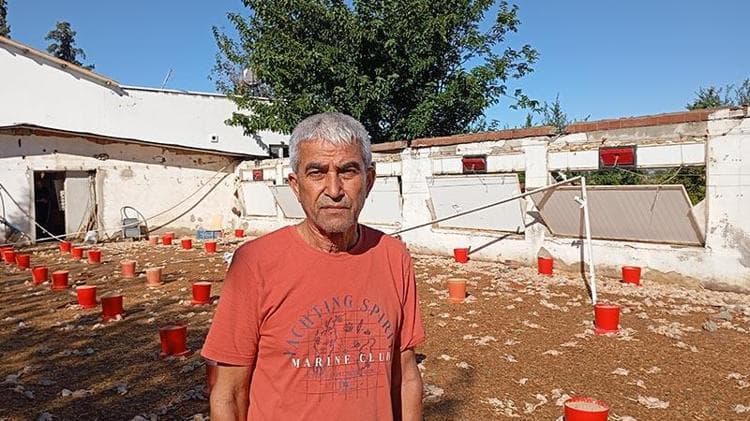 Adana'da hortumda zarar gören çiftliklerdeki 20 bin civciv öldü